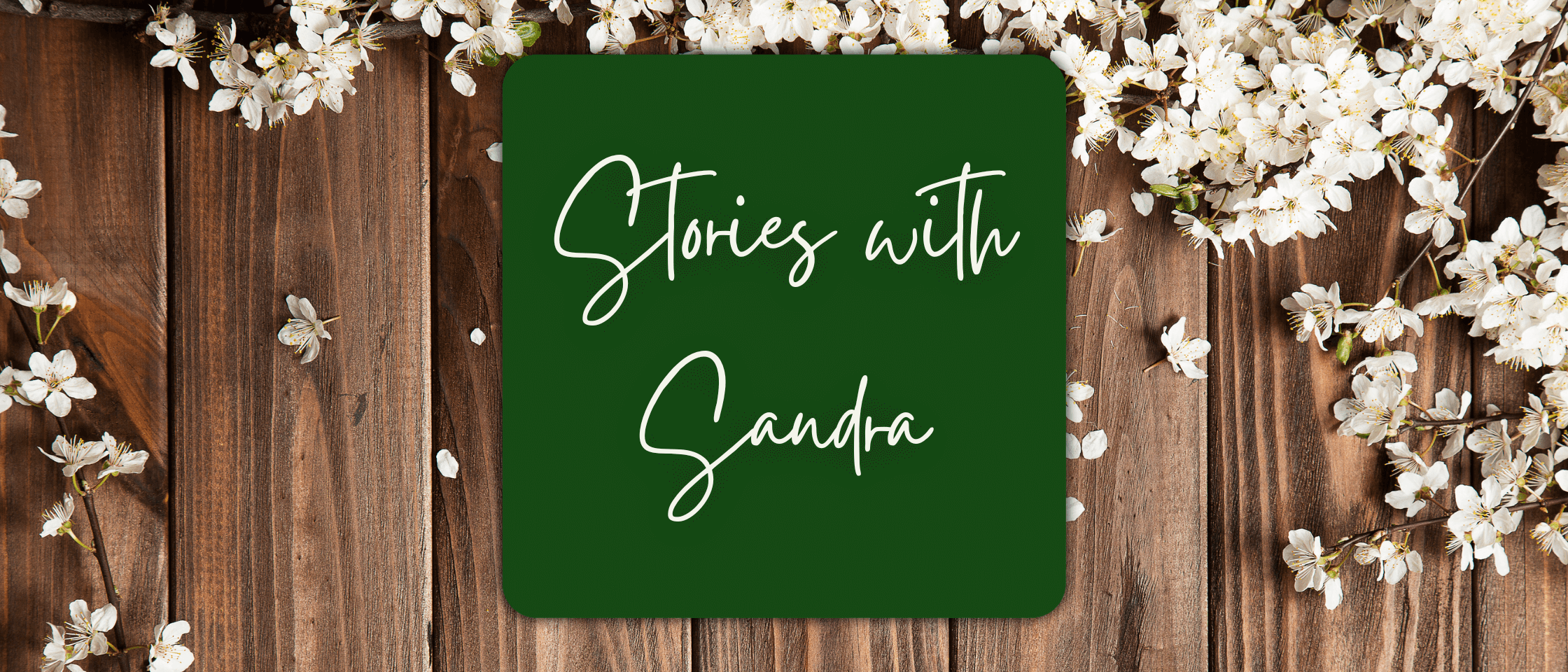 Stories with Sandra | February | Issue #5