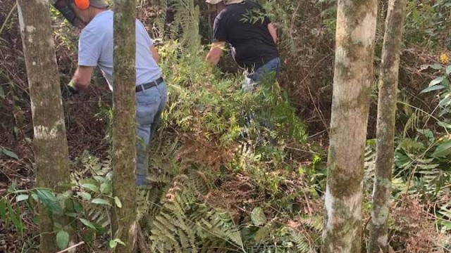 Cutting a path around the property borders. Luckily we didn’t see any snakes