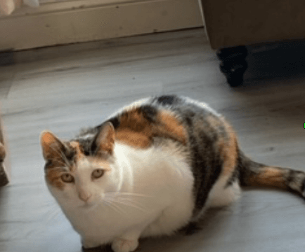 Kallie was happy to see us