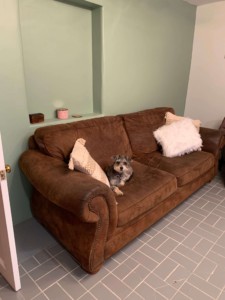 Hani was lost for the first week until the couch was brought in! Thank you to Brent and Denise Longenecker for their generosity!