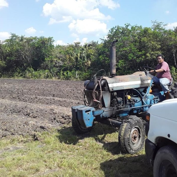 Preparing in vegetable garden