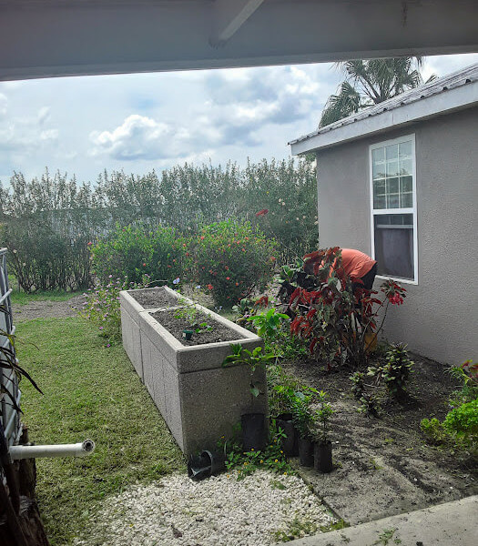 Cement planters from the USA, now in front of our house