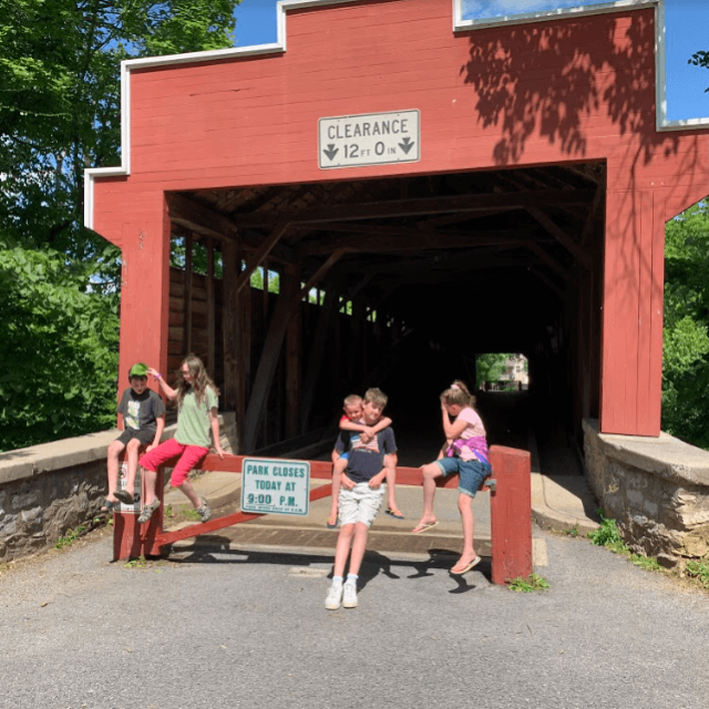 They love getting their picture taken...