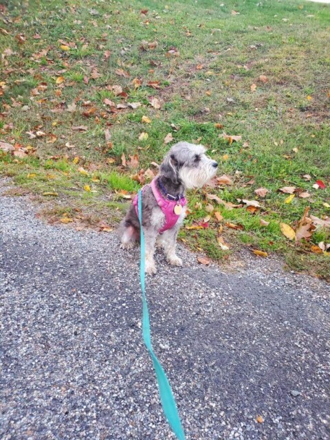 Hani thinks she's a model