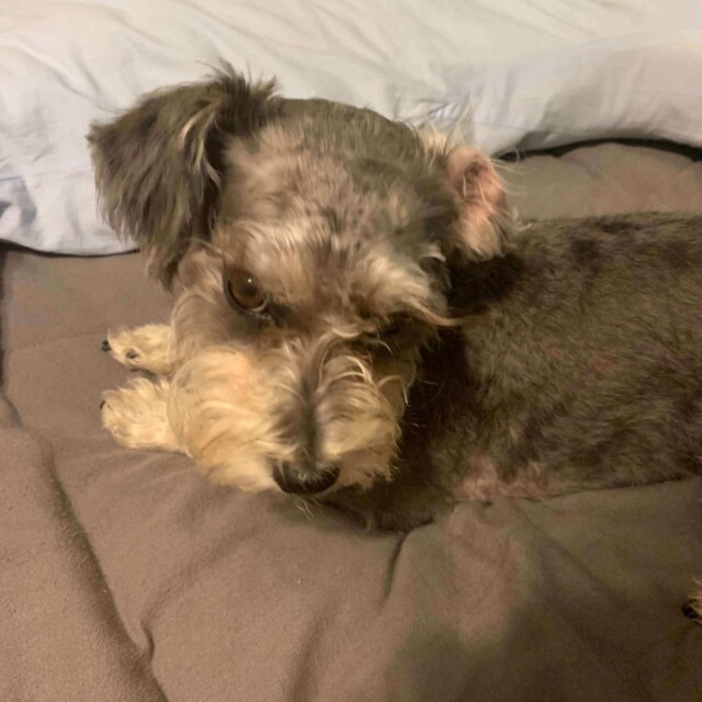 She was less than pleased about her haircut