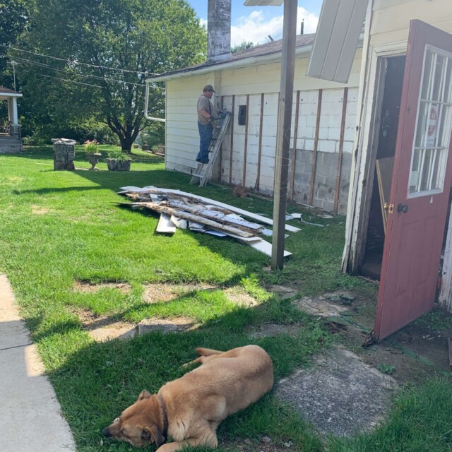 If you couldn't tell, Diesel loves being where people are.