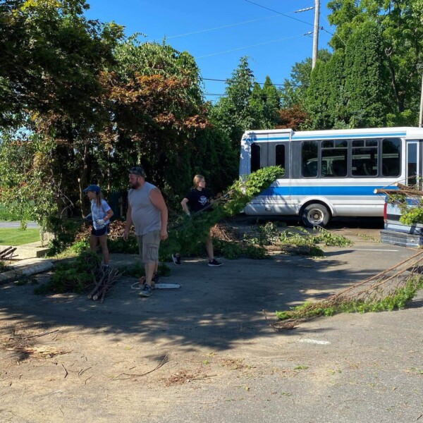 Nolan and a few others cutting down the arborvitaes in the parking lot