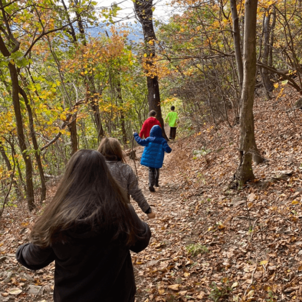 Hiking to see the leaves change