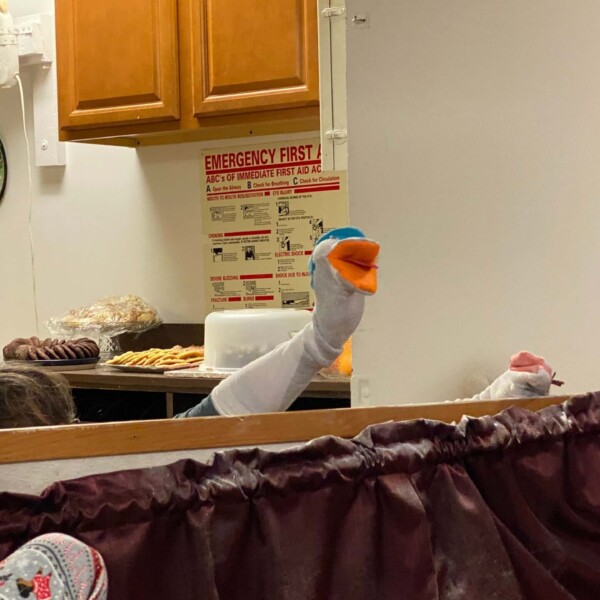 Joel the sock puppet