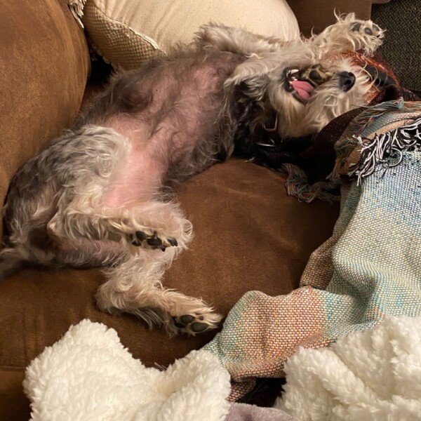 She's such a weirdo. It's hard to tell, but she was gnawing on her leg here.