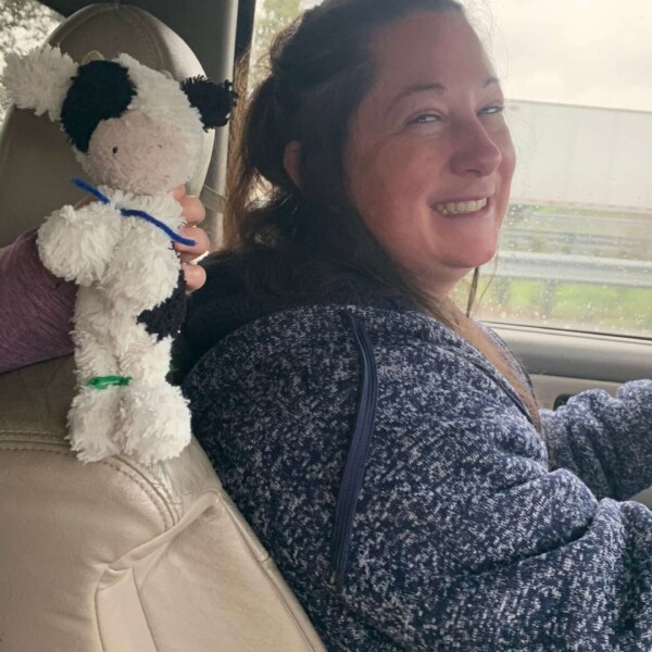 En route to thrifting, the Smith girls and GrEmi found and hogtied a stuffed cow left behind by a VanWert boy.