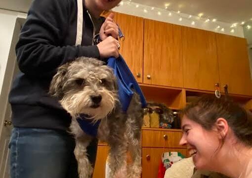 She's miserable, we're not. What's left to say?