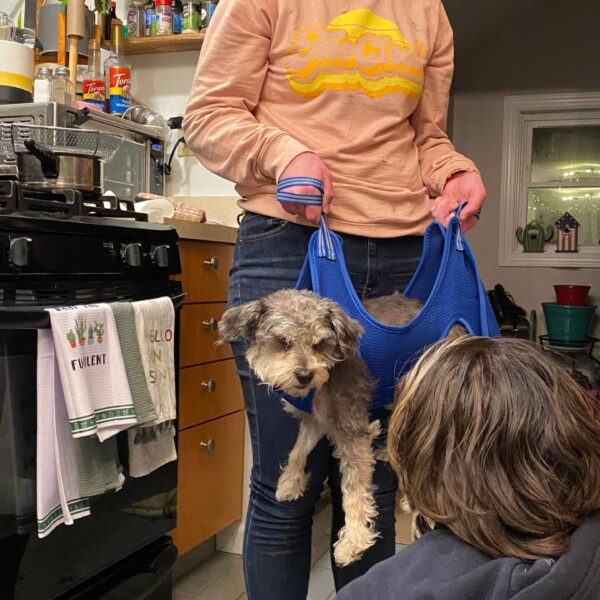 Zoom in on Hani's face to see EXACTLY how she feels about my, sorry, OUR Christmas gift