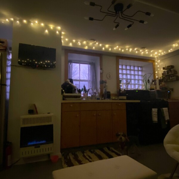 Don't the lights make everything so magical??