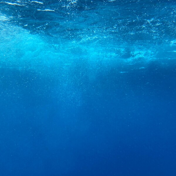 Right before we dove in the submarine