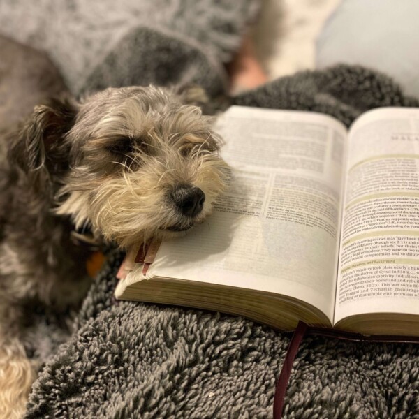 Hani "disturbing" my quiet time in the cutest way possible