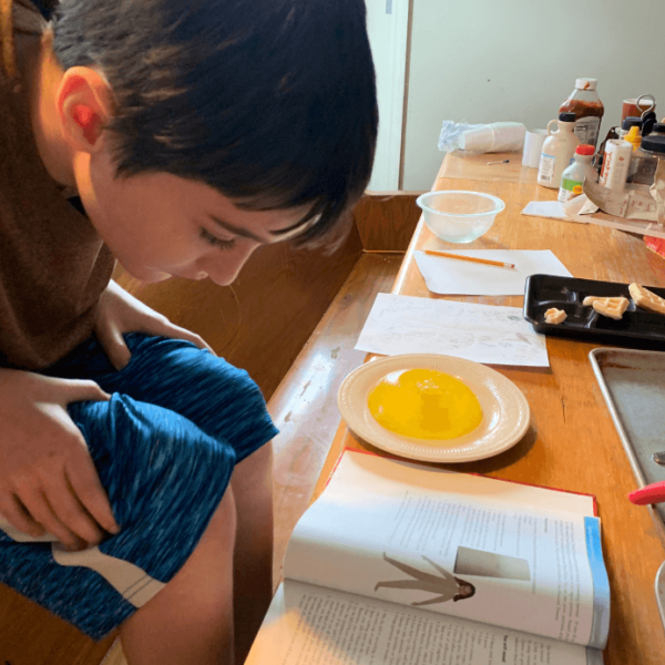 Jett making a human cell from jello and candies. It fell apart a little as he cut it to put the different candies in to represent the different parts of the cell.